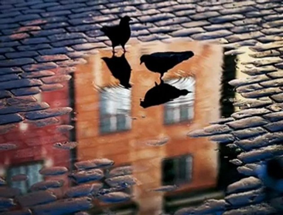 SEVMEK NEYMİŞ BİRGÜN ANLARSIN & ÜMİT YAŞAR OĞUZCAN