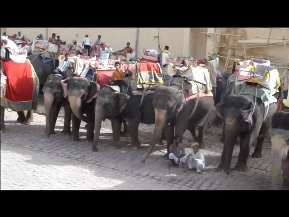 LE FORT D AMBER EN ELEPHANT_