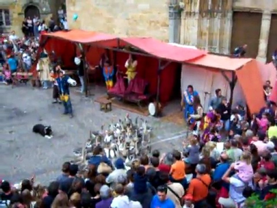 Médiévales 2011 : Manu et ses Oies !!!