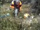 Russian plane crash site found