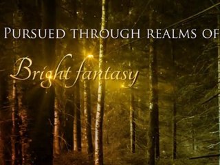 Shadowman by Erin Kellison Book Trailer