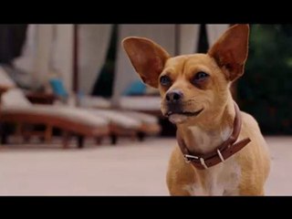 Beverly Hills Chihuahua (2008) - FULL MOVIE - Part 3/10