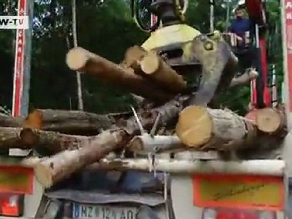 Austria: A Call to Disobedience | European Journal