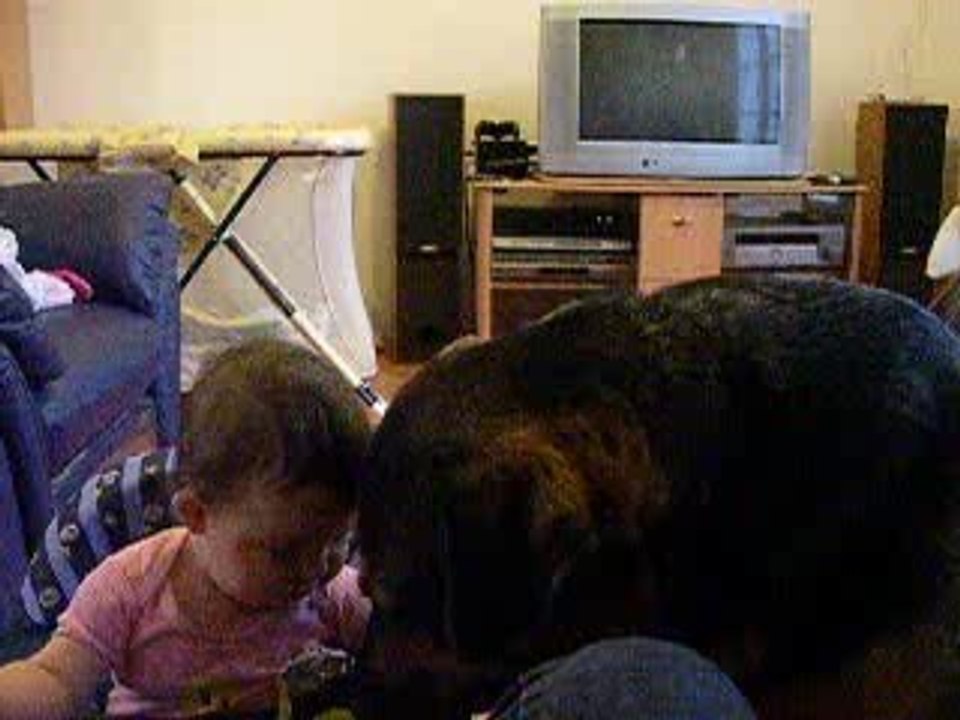 Calinouchien !!!