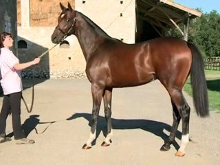 Lot 295 par FOOTSTEPSINTHESAND et INTERIOR - Harsa des Granges