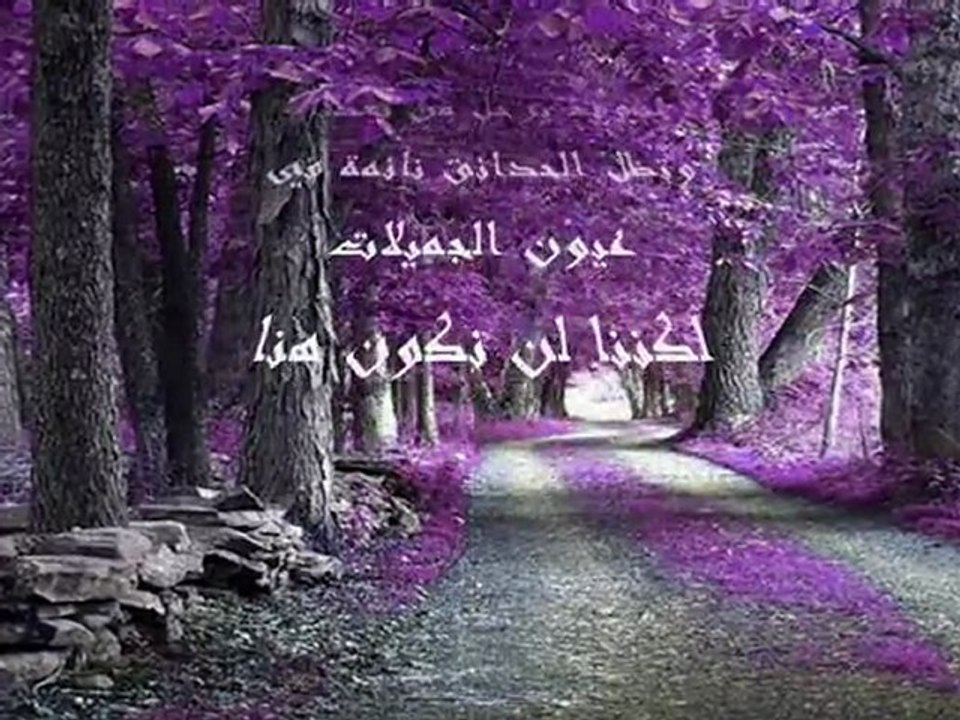 غابة تتذكّر أحزانها