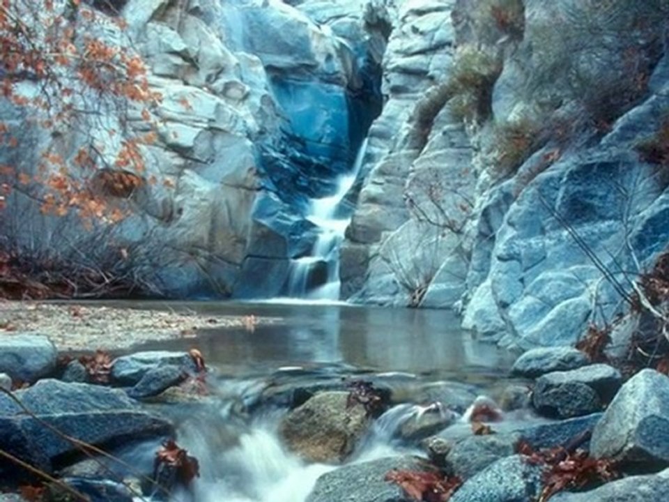 VUELA -Sofia ortega cruz