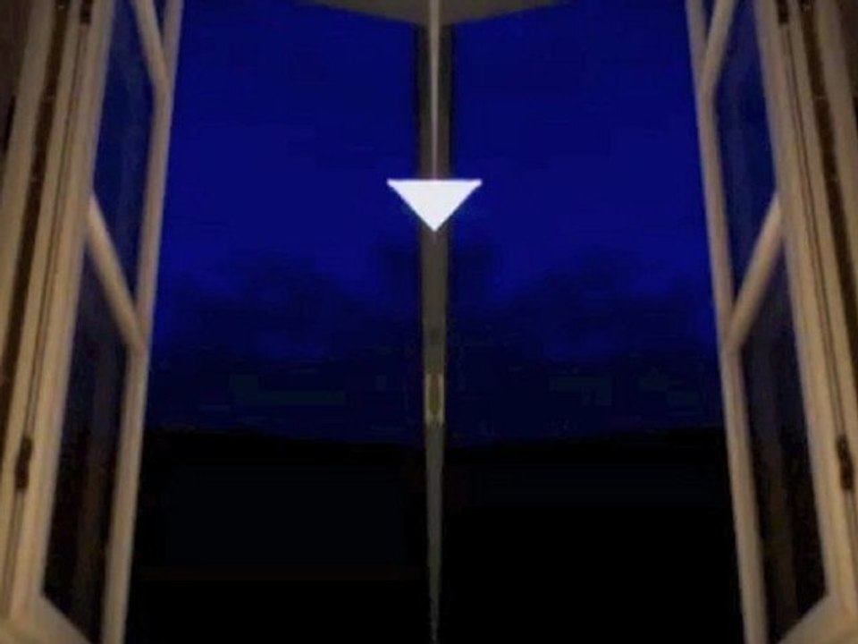 David Suivez - Zebra Finch