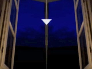 David Suivez - Zebra Finch