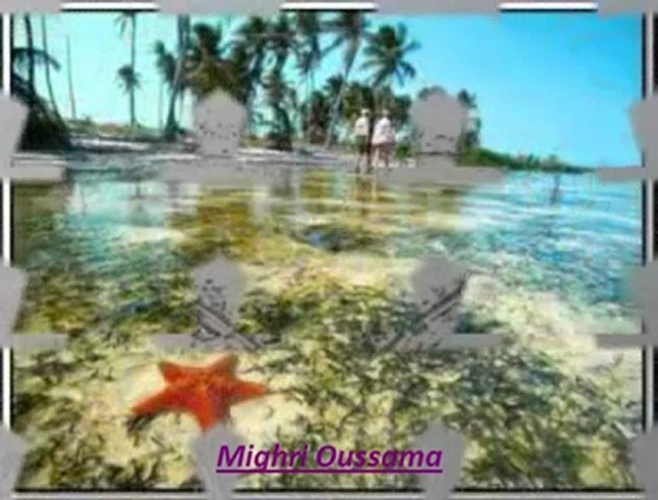 الشــــــاب حسنــــــى- عمــــــرى عمــــــرى