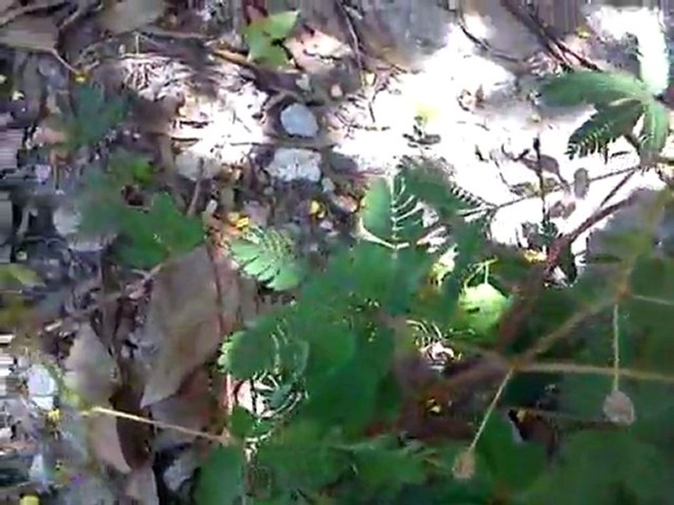 27 ‎july ‎2011, 11:41:22AM