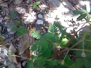 27 ‎july ‎2011, 11:41:22AM