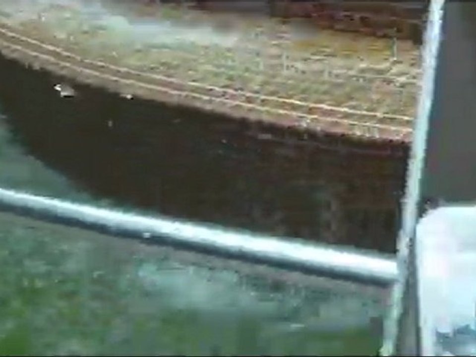 水的池中