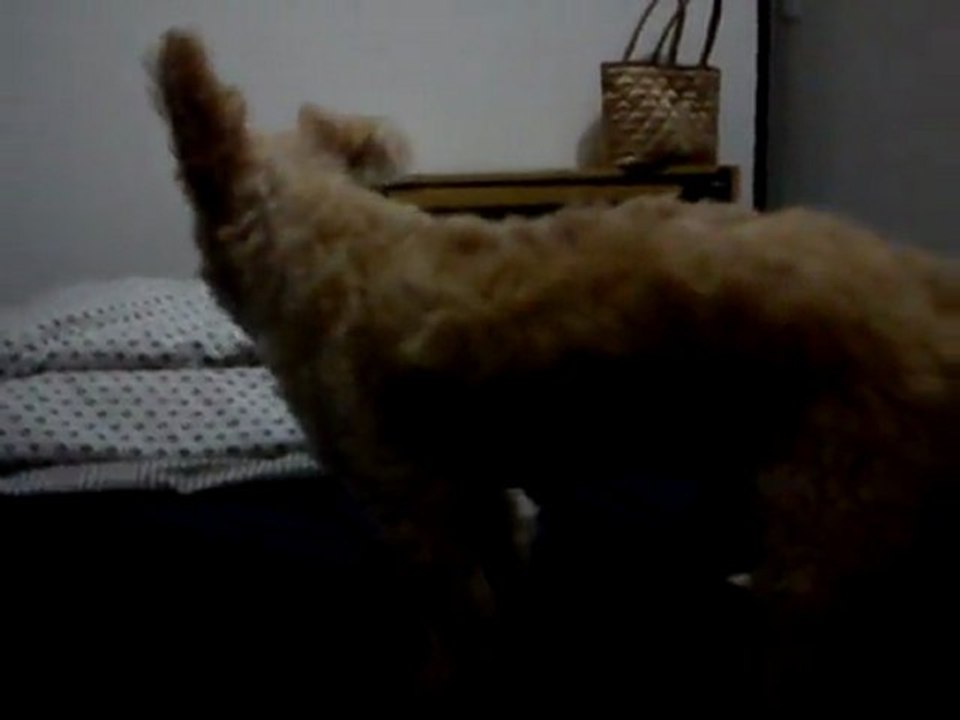 1 ‎august ‎2011, ‏‎20:05:06PM