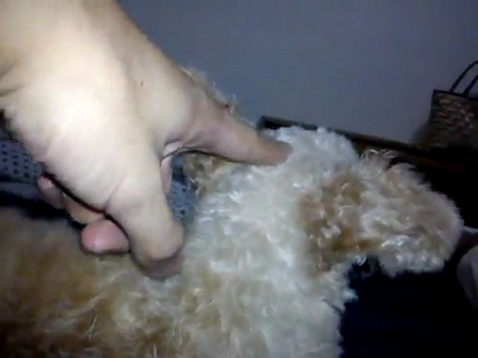 ‎1 ‎august ‎2011, ‏‎20:05:44PM