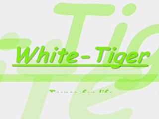 Above & Beyond & White Tiger - Trance - On A Good Day