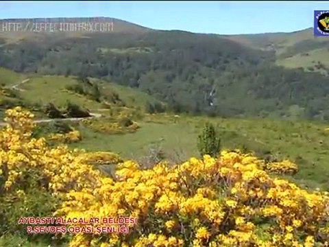 Alacalar Belediyesi 2011 Tanıtım