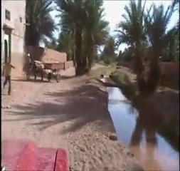 Oasis avant Zagora
