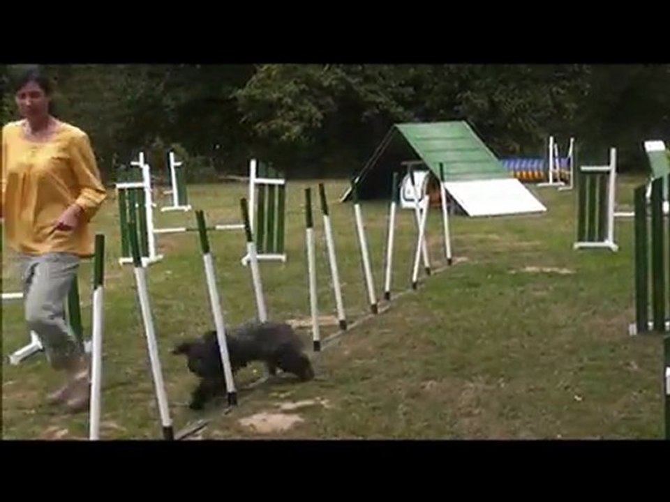 Estas 20 mois Agility 2 août 2011
