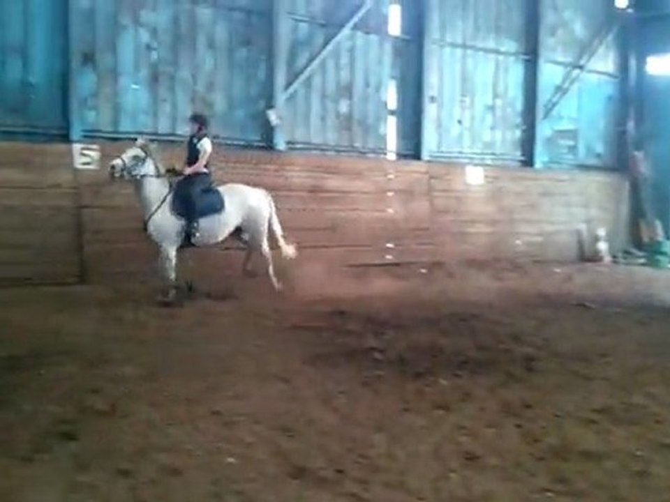 poney 3