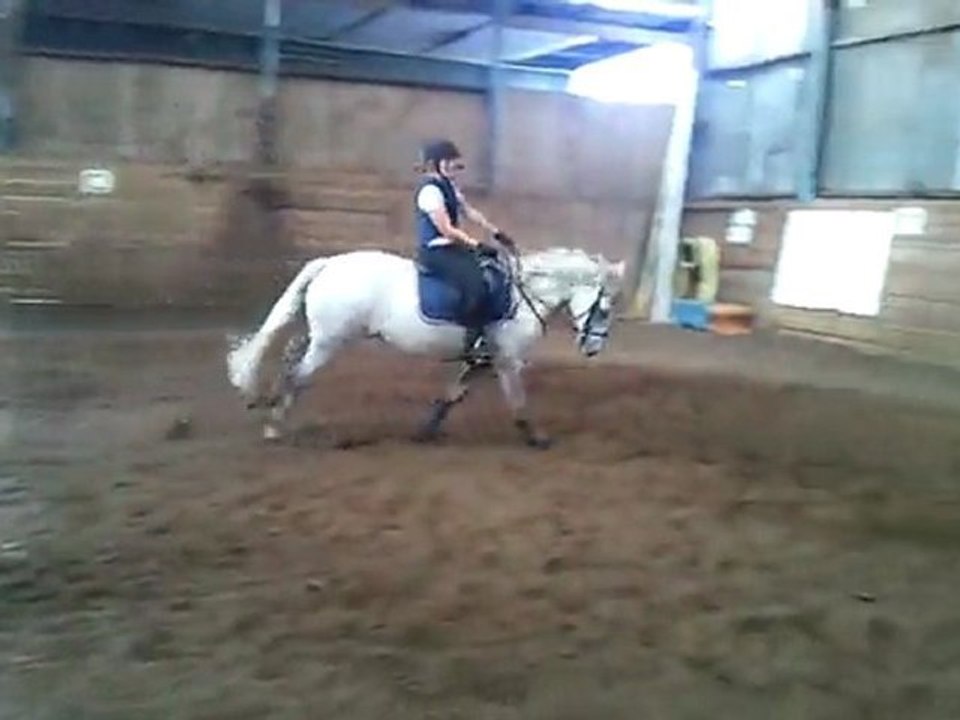 poney 4