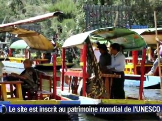 Xochimilco au Mexique, "un champ de fleurs" très touristique