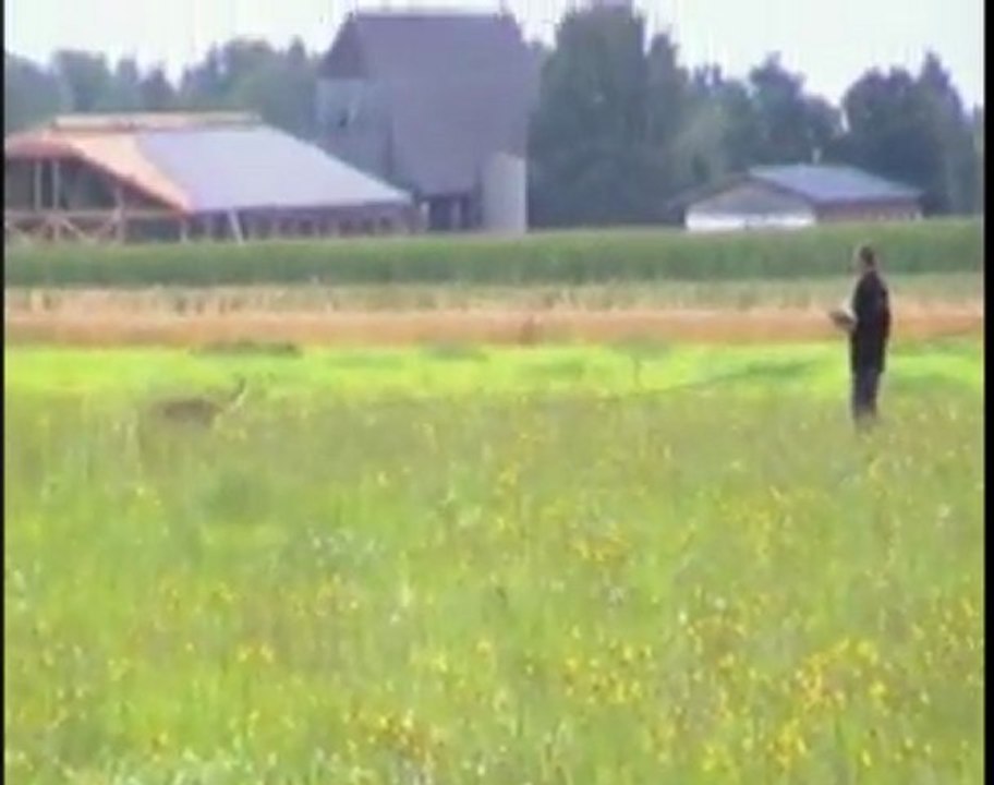 Gilda-IPO1-Juli-2011-Fährte