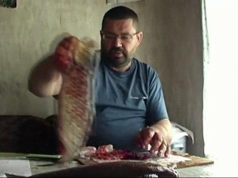 Ветер с Севера. Выпуск 1.