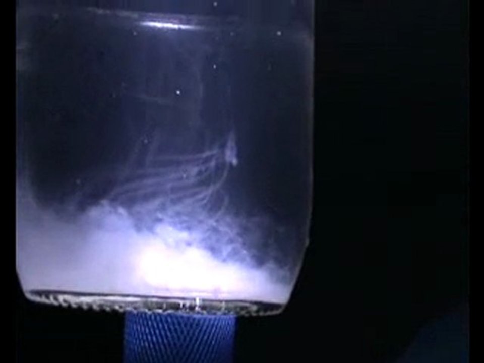 Yann présente : 3 sur 3 "CHEMTRAIL" fibres et bioculture.