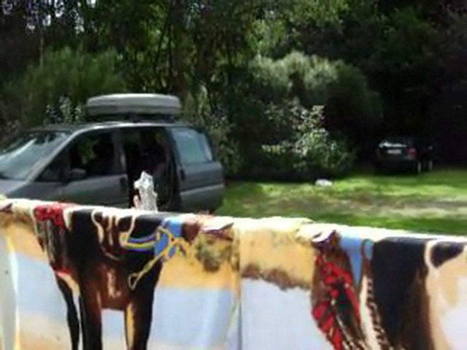 Voyage de CotCot Lydie et ses amisActe3