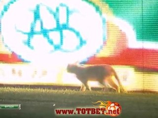 Терек - Спартак (2-4) 07.08.2011