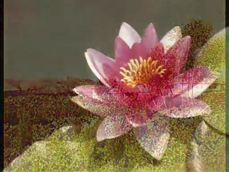 Бондарівна (Bondarivna) - Ukrainian historical ballad by Taras Kompanichenko