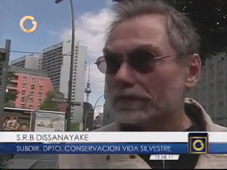 Censo de elefantes