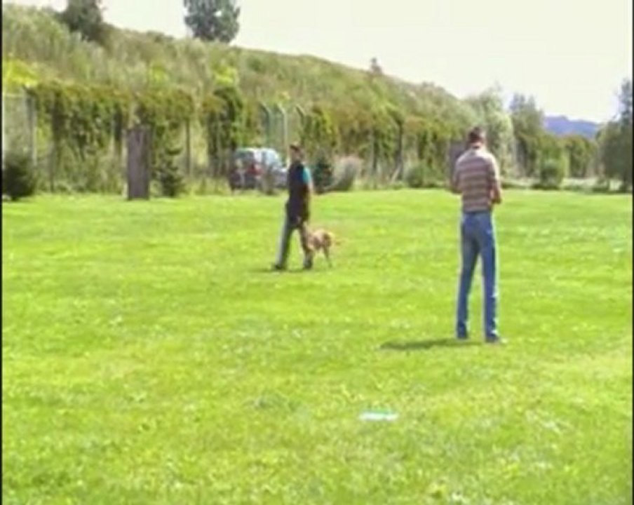 Gilda-IPO1-Juli-2011-UO