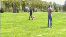 Gilda-IPO1-Juli-2011-UO