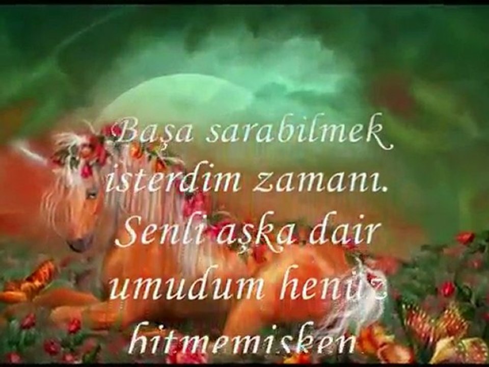 dim li geçmiş & Nilgün BUDAK
