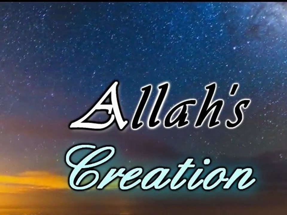 Allah's Creation (La création d'Allah) Ep 4