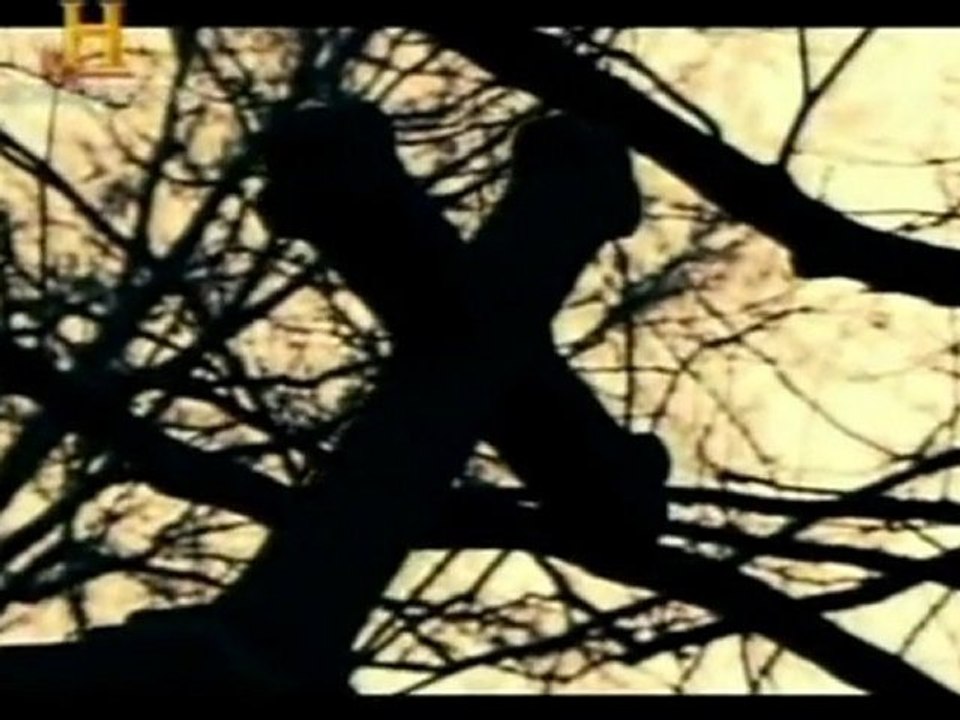 O Efeito Nostradamus - arrebatamento