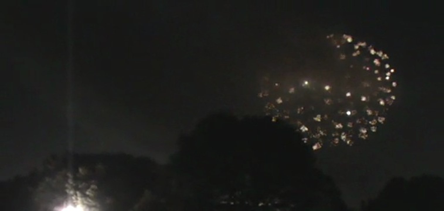 立川まつり国営昭和記念公園花火大会　2010　1