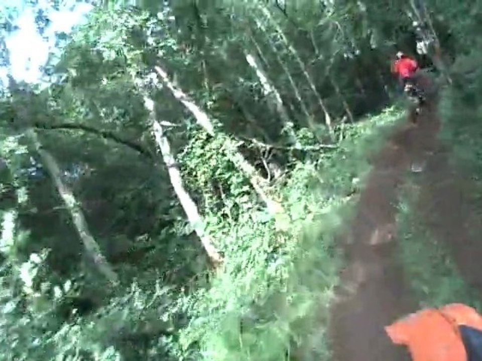 CLIP0002