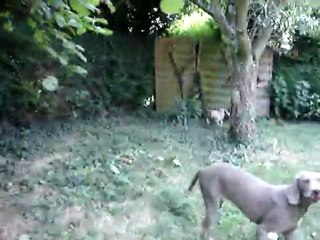 Le matin nous avons "une pêche d'enfer "le 13 Août 2011