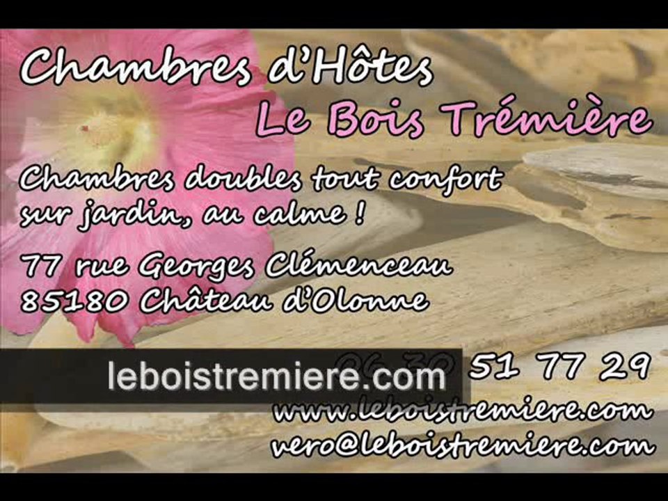 Chambres d'hotes à 1 km des Sables d'Olonne ( Chateau d'Olonne )