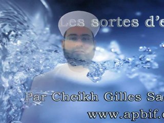Les sortes d_eau - Cheikh Gilles Sadek apbif