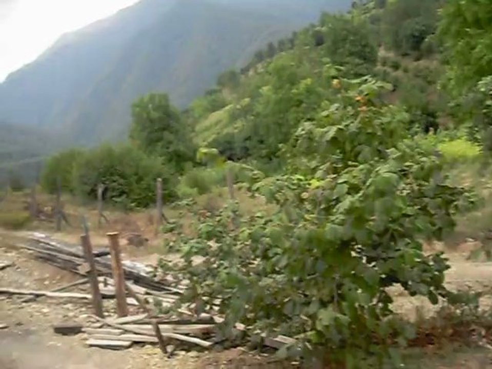 duvar vidyo görüntüleri 033