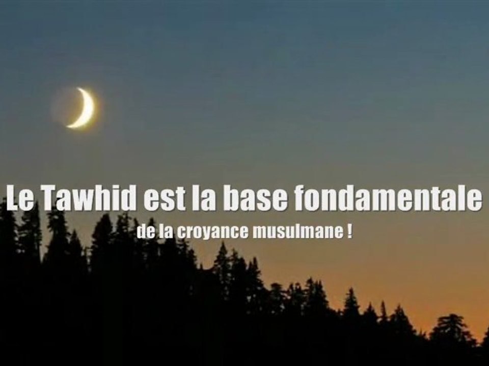 Le Tawhid est la Base Fondamentale de la Croyance Musulmane!