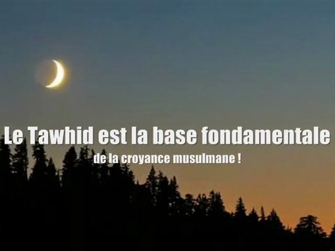 Le Tawhid est la Base Fondamentale de la Croyance Musulmane!