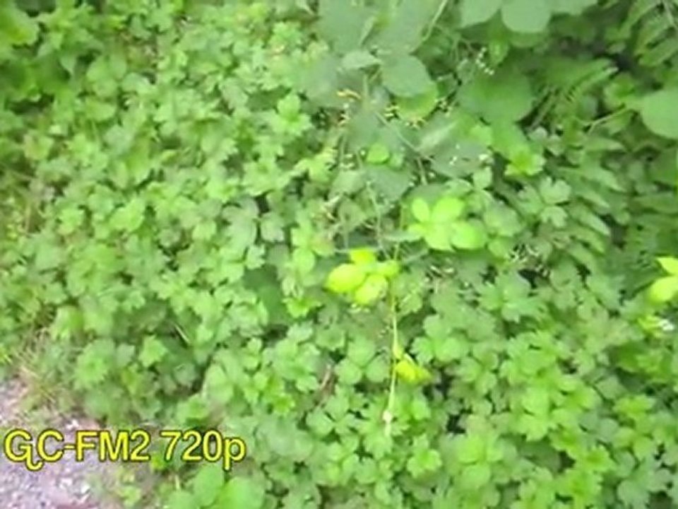 Video Comparison 02 part 3