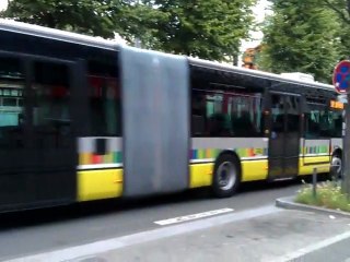 Travaux du tramway - 12 août 2011 - le 787 à Bicentenaire - refection arrêt PMR - élagage