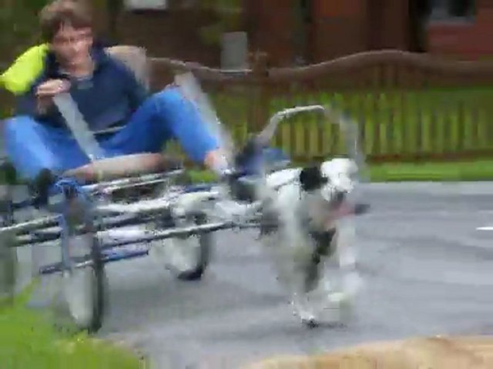 Kinder fahren Sacco Cart