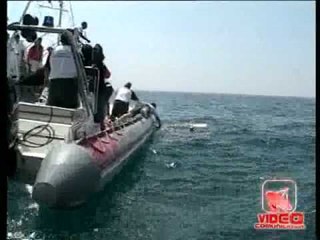 Napoli - Timoniere Jolly Grigio confessa assunzione di cocaina